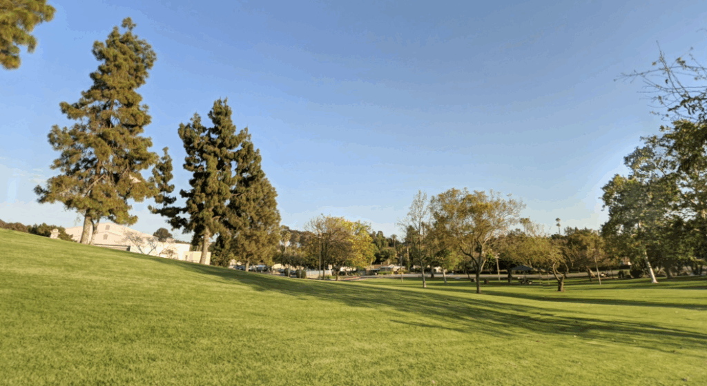 woodland park